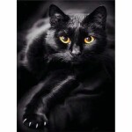 PRACHT Diamond Painting Schwarze Katze 40x30cm