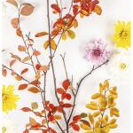 Paper+Design Servietten Autumn Branch 24x24cm 20 Stück