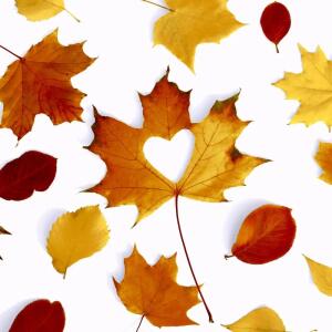 Paper+Design Servietten Autumn Love 33x33cm 20 Stück