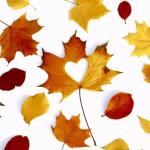Paper+Design Servietten Autumn Love 33x33cm 20 Stück