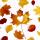 Paper+Design Servietten Autumn Love 33x33cm 20 Stück