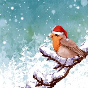 Paper+Design Servietten Robin Snow 33x33cm 20 Stück