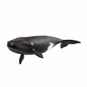 schleich Wild Life Nordatlantischer Glattwal