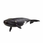 schleich Wild Life Nordatlantischer Glattwal