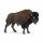 schleich Wild Life Bison