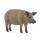 schleich Farm World Wollschwein