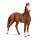 schleich Horse Club Marwari Stute