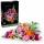 LEGO Botanicals Confidential 1
