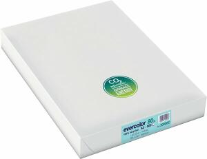 Kopierpapier, DIN A3, 80g/qm, 500 Blatt, Recycling, hellblau