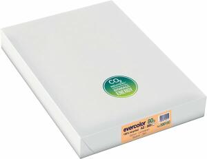 Kopierpapier, DIN A3, 80g/qm, 500 Blatt, Recycling, lachs