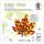 BLANKO-MOTIVE "HERBSTBLATT" 03