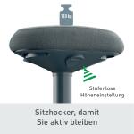 LEITZ 6544-00-89 Hocker Ergo Actice Sitz dunkelgrau