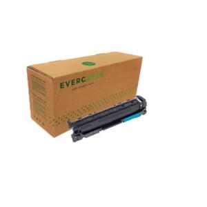 EVERGREEN 352720-042408 -Chip Lasertoner ersetzt HP W2031X 6K cyan