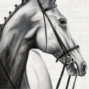 PAPER+DESIGN 209994 3lag Motivserviette 33x33cm Tiere