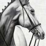 PAPER+DESIGN 209994 3lag Motivserviette 33x33cm Tiere