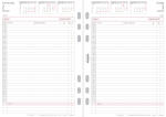 CHRONOPLAN 50225 Tagesplan A5 2025