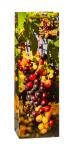 TSI Geschenktüte Flasche 36x12x8 cm WEIN