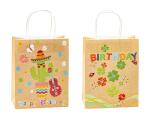 TSI Geschenktüte mittel 23x18x10cm KINDERGEBURTSTAG KP