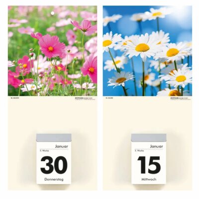 2025 ZettlerBildrückwände für Typ 301/302 Blumenmotive sortiert