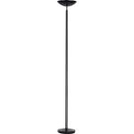 Unilux DELY 2.0 LED Deckenfluter schwarz, dimmbar,...