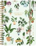 2025/2026 Brunnen Schülerkalender „Little Plants“ A6