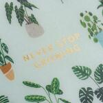 2025/2026 Brunnen Schülerkalender „Little Plants“ A6
