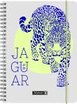 2025/2026 Brunnen Schülerkalender „Jaguar“ A5 Papier