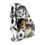 Herma Stehsammler aus stabilem Karton B/T/H 8 x 27,5 x 31,5 cm Fussball