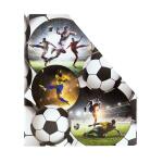 Herma Stehsammler aus stabilem Karton B/T/H 8 x 27,5 x 31,5 cm Fussball