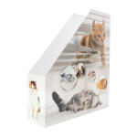 Herma Stehsammler aus stabilem Karton B/T/H 8 x 27,5 x 31,5 cm Katzen