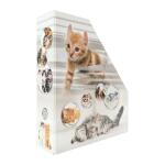 Herma Stehsammler aus stabilem Karton B/T/H 8 x 27,5 x 31,5 cm Katzen