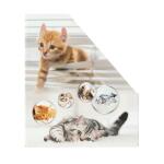 Herma Stehsammler aus stabilem Karton B/T/H 8 x 27,5 x 31,5 cm Katzen