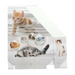 Herma Stehsammler aus stabilem Karton B/T/H 8 x 27,5 x 31,5 cm Katzen