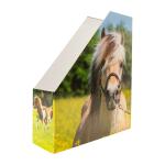 Herma Stehsammler aus stabilem Karton B/T/H 8 x 27,5 x 31,5 cm Pferdewiese