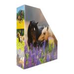 Herma Stehsammler aus stabilem Karton B/T/H 8 x 27,5 x 31,5 cm Pferdewiese