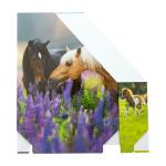 Herma Stehsammler aus stabilem Karton B/T/H 8 x 27,5 x 31,5 cm Pferdewiese