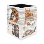 Herma Papierkorb aus stabilem Karton 15 Liter B/T/H 22 x 22 x 31,5 cm Katzen