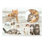 Herma Papierkorb aus stabilem Karton 15 Liter B/T/H 22 x 22 x 31,5 cm Katzen