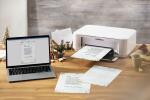 SIGEL DP608 Weihnachts-Motiv-Papier - Tannenzweige - grau...