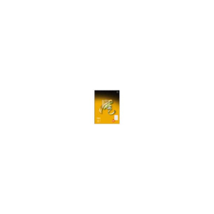 Advanced CB A4 80 Bl. Notes 70g/qm Lineatur Notes