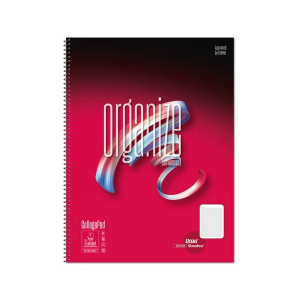 Advanced CB A4 80 Bl. Organize 70g/qm Lineatur Organize