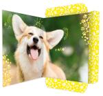 Roth Tierische Zeichenmappen A3 Corgi