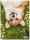 Roth Tierische Zeichenmappen A3 Corgi