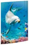 Roth Tierische Zeichenmappen A3 Dolphin