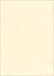 Roth Elefantenhautpapier Papier Dekor