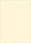 Roth Elefantenhautpapier