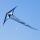 HQ Kinderdrachen Brasington´s Delta Ice 2 m