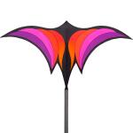 HQ Kinderdrachen Brasington´s Ravenswing