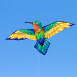 HQ Vogeldrachen Bird Kite Hummingbird