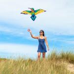 HQ Vogeldrachen Bird Kite Hummingbird
